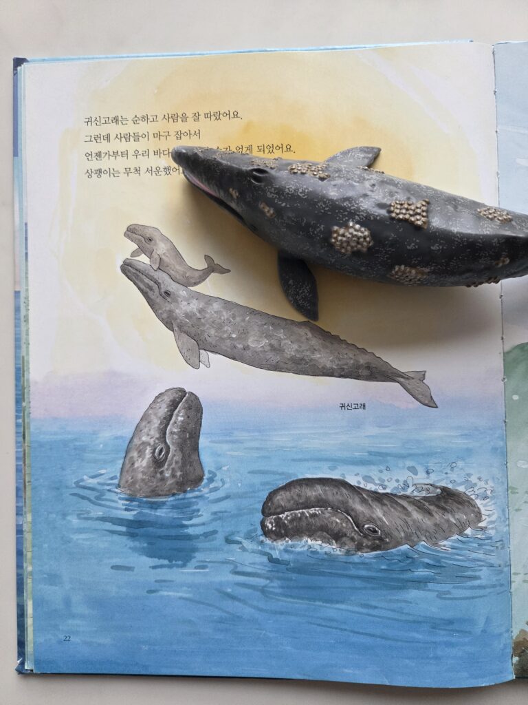 아기 돌고래 상괭이의 우리 바다 여행 그림책과 귀신고래 탐험