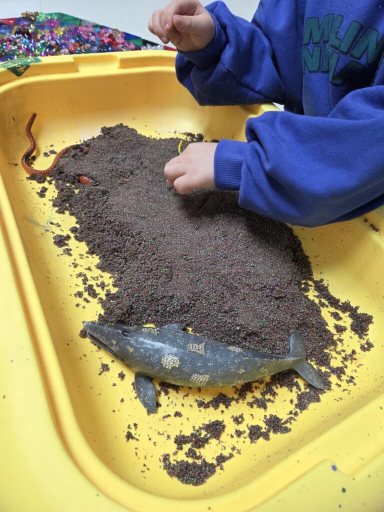 아이와 함께 피규어로 관찰하는 귀신고래의 생물학적 특징