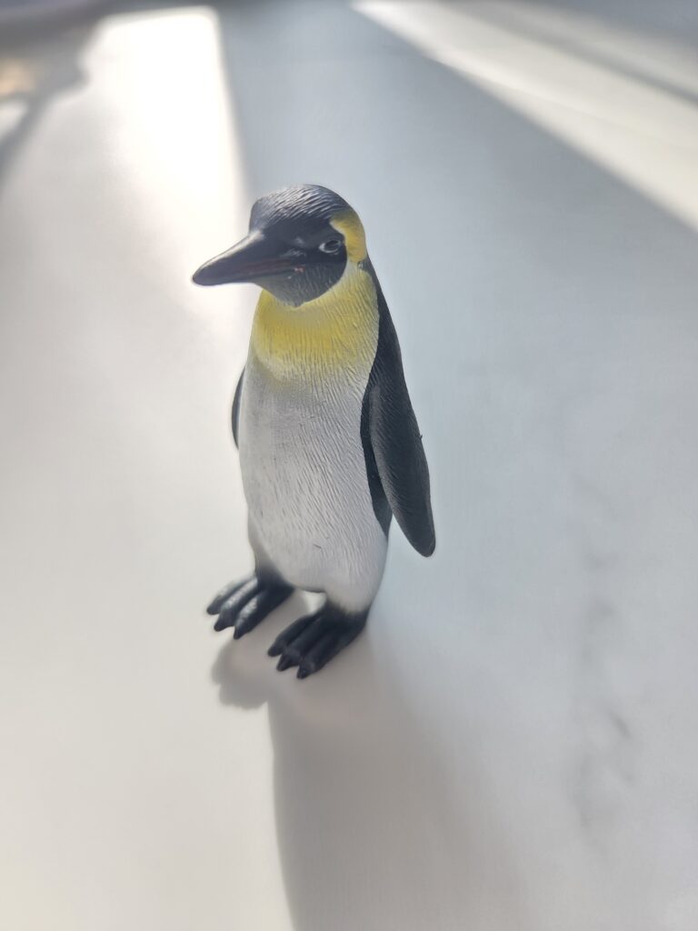 CollectA 황제 펭귄 피규어 디테일 관찰 및 유아 생태 교육
