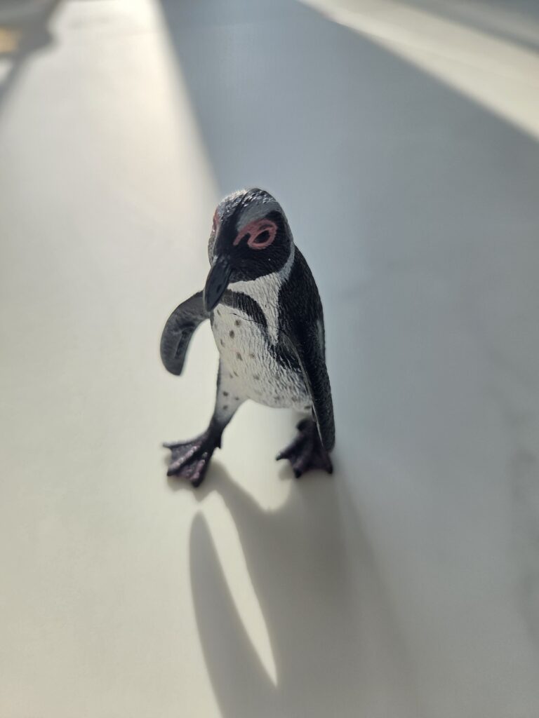 CollectA 아프리카 펭귄 피규어 디테일 관찰 및 유아 생태 교육