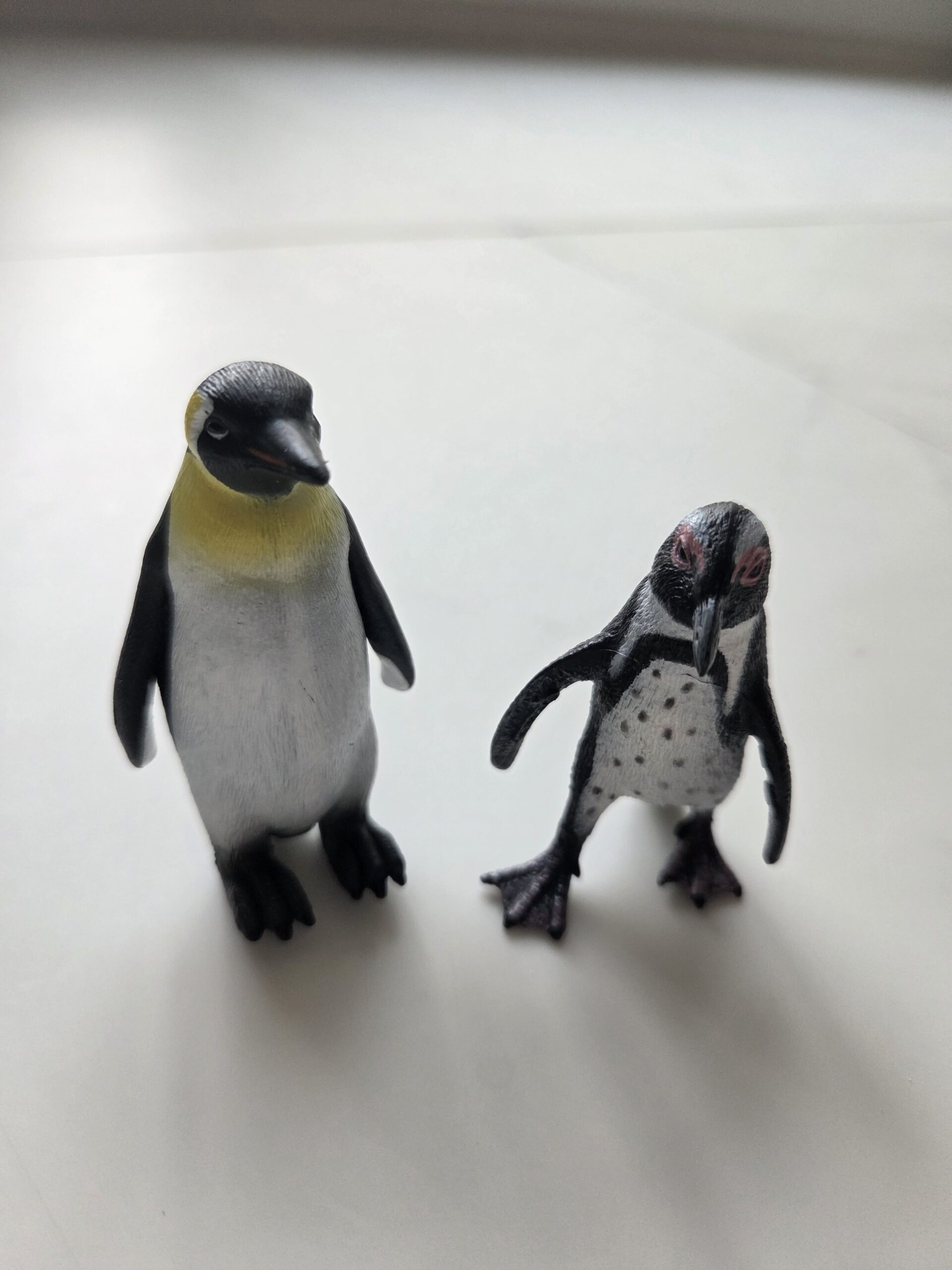 남극과 아프리카 펭귄의 생물학적 차이점을 학습하는 컬렉타 펭귄 피규어 생태 탐험