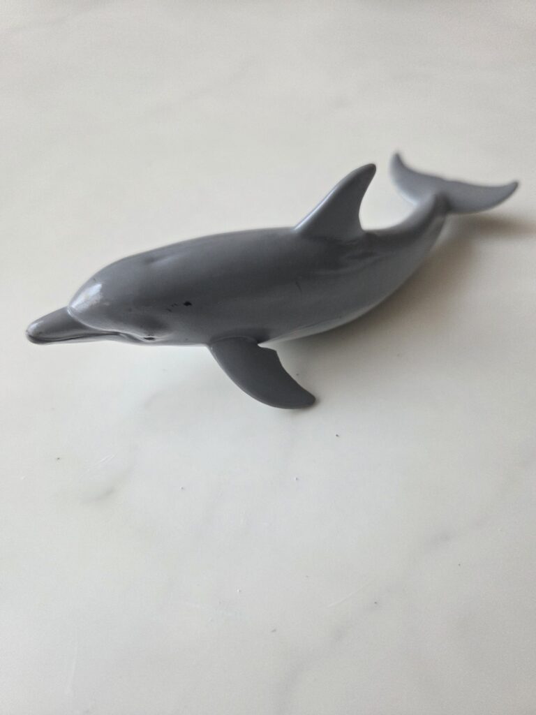 CollectA 큰돌고래 피규어를 활용한 생물학적 특징 관찰