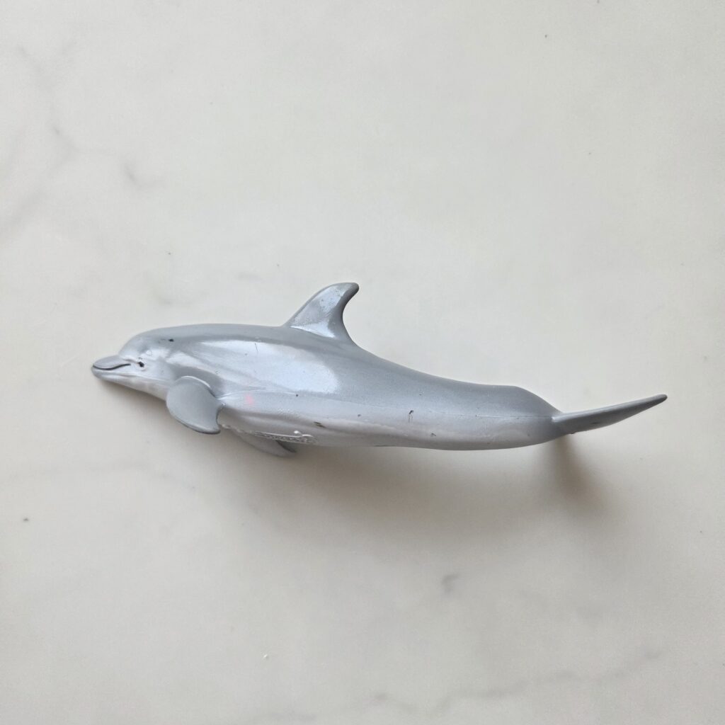 CollectA 큰돌고래 피규어를 활용한 생물학적 특징 관찰