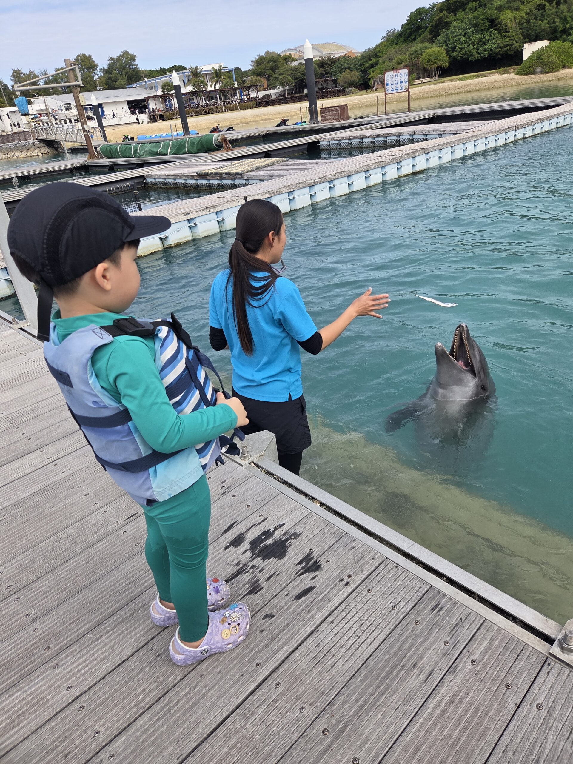 오키나와 모토부 겐키무라 체험에서 5세 아이가 병코돌고래(큰돌고래)에게 직접 물고기 먹이를 주는 교감 순간